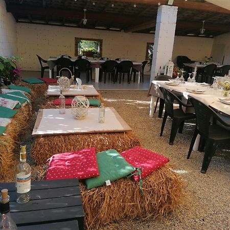 Agriturismo Il Vecchio Portico Francavilla Bisio Eksteriør bilde