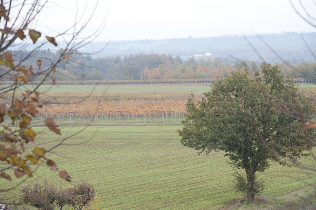 Agriturismo Il Vecchio Portico Francavilla Bisio Eksteriør bilde